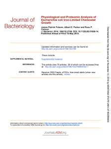 Physiological and Proteomic Analysis of Escherichia coli Iron-Limited Chemostat Growth