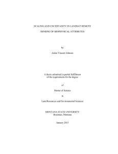 SCALING AND UNCERTAINTY IN LANDSAT REMOTE SENSING OF BIOPHYSICAL ATTRIBUTES by