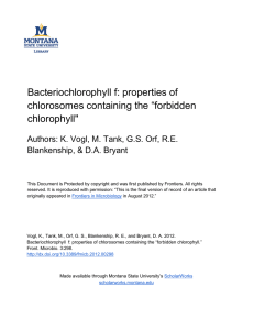 Bacteriochlorophyll f: properties of chlorosomes containing the “forbidden chlorophyll&#34;