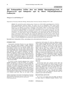 Leukocytes Streptococcus equi Mengyao Liu and Benfang Lei