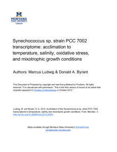 Synechococcus sp. strain PCC 7002 transcriptome: acclimation to temperature, salinity, oxidative stress,