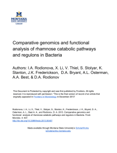 Comparative genomics and functional analysis of rhamnose catabolic pathways