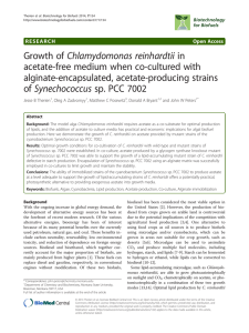 Growth of Chlamydomonas reinhardtii in acetate-free medium when co-cultured with