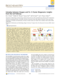 −S Cluster Biogenesis: Insights Interplay between Oxygen and Fe Eric S. Boyd,