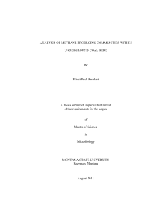 ANALYSIS OF METHANE PRODUCING COMMUNITIES WITHIN UNDERGROUND COAL BEDS by