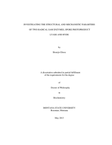 INVESTIGATING THE STRUCTURAL AND MECHANISTIC PARAMTERS LYASE AND HYDE