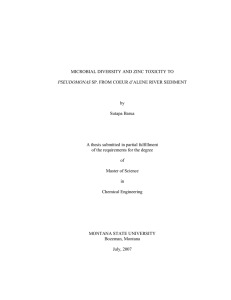 MICROBIAL DIVERSITY AND ZINC TOXICITY TO by Sutapa Barua