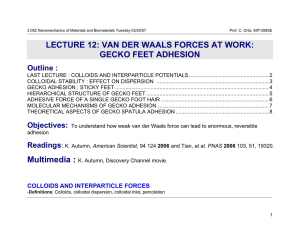 LECTURE 12: VAN DER WAALS FORCES AT WORK: GECKO FEET ADHESION