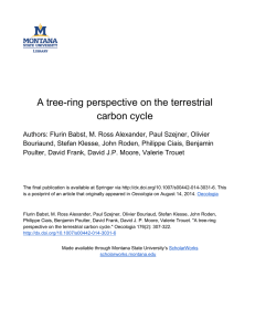 A tree-ring perspective on the terrestrial carbon cycle