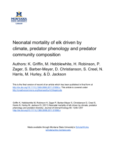 Neonatal mortality of elk driven by climate, predator phenology and predator