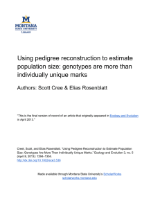 Using pedigree reconstruction to estimate population size: genotypes are more than