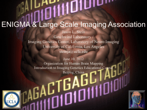ENIGMA &amp; Large Scale Imaging Association