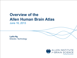 Overview of the Allen Human Brain Atlas June 16, 2013 Lydia Ng