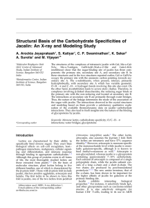 Structural Basis of the Carbohydrate Specificities of A. Arockia Jeyaprakash