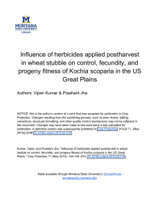 Inﬂuence of herbicides applied postharvest