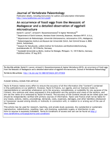 Journal of Vertebrate Paleontology Madagascar and a detailed observation of eggshell