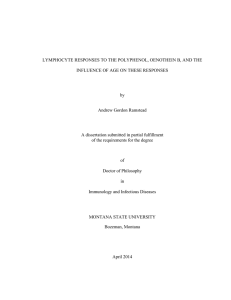 LYMPHOCYTE RESPONSES TO THE POLYPHENOL, OENOTHEIN B, AND THE by