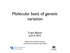 Molecular basis of genetic variation Trygve Bakken June 6, 2010