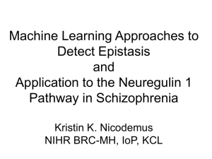 Machine Learning Approaches to Detect Epistasis and Application to the Neuregulin 1