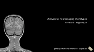 Overview of neuroimaging phenotypes roberto toro • génétique humaine et fonctions cognitives