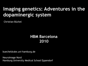Imaging genetics: Adventures in the dopaminergic system HBM Barcelona 2010