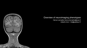 Overview of neuroimaging phenotypes! Herve Lemaitre roberto toro •