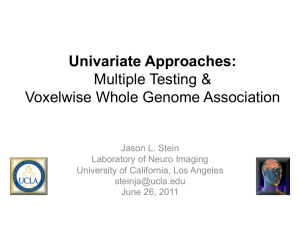 Univariate Approaches: Multiple Testing &amp; Voxelwise Whole Genome Association