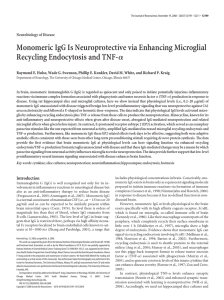 Monomeric IgG Is Neuroprotective via Enhancing Microglial Recycling Endocytosis and TNF- ␣