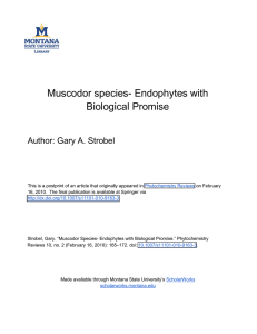 Muscodor species- Endophytes with Biological Promise Author: Gary A. Strobel