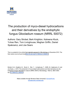 The production of myco-diesel hydrocarbons and their derivatives by the endophytic