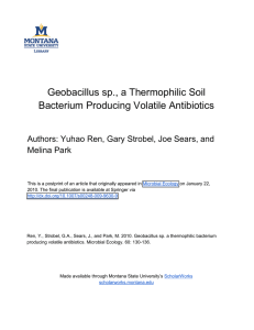 Geobacillus sp., a Thermophilic Soil Bacterium Producing Volatile Antibiotics Melina Park