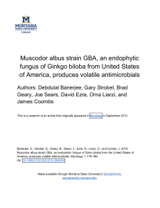 Muscodor albus strain GBA, an endophytic of America, produces volatile antimicrobials