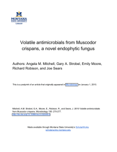 Volatile antimicrobials from Muscodor crispans, a novel endophytic fungus