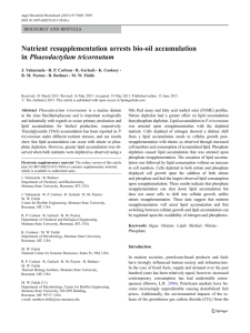 Nutrient resupplementation arrests bio-oil accumulation Phaeodactylum tricornutum in BIOENERGY AND BIOFUELS