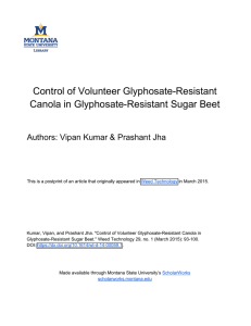 Control of Volunteer Glyphosate-Resistant Canola in Glyphosate-Resistant Sugar Beet