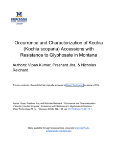 Occurrence and Characterization of Kochia (Kochia scoparia) Accessions with