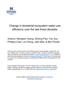 Change in terrestrial ecosystem water-use efﬁciency over the last three decades