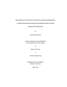 BIOCORROSION OF 1018 STEEL IN SULFIDE RICH MARINE ENVIRONMENTS;