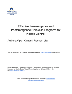 Effective Preemergence and Postemergence Herbicide Programs for Kochia Control