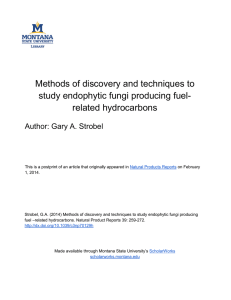 Methods of discovery and techniques to study endophytic fungi producing fuel-