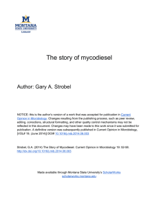 The story of mycodiesel Author: Gary A. Strobel