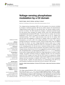 Voltage-sensing phosphatase modulation by a C2 domain