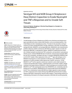 Serotype M3 and M28 Group A Streptococci