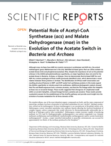 Potential Role of Acetyl-CoA acs mae Evolution of the Acetate Switch in