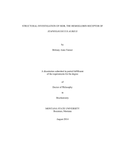by Brittany Anne Fonner A dissertation submitted in partial fulfillment