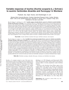 Kochia scoparia Variable response of kochia [ (L.) Schrad.]