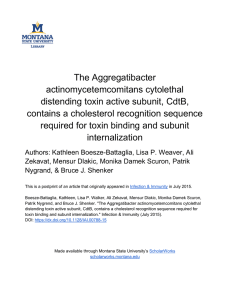 The Aggregatibacter actinomycetemcomitans cytolethal distending toxin active subunit, CdtB,