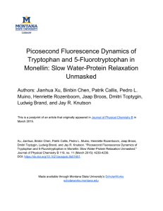 Picosecond Fluorescence Dynamics of Tryptophan and 5-Fluorotryptophan in Monellin: Slow Water-Protein Relaxation