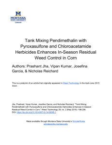 Tank Mixing Pendimethalin with Pyroxasulfone and Chloroacetamide Herbicides Enhances In-Season Residual