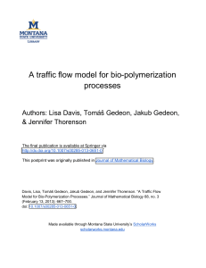 A traffic ﬂow model for bio-polymerization processes &amp; Jennifer Thorenson